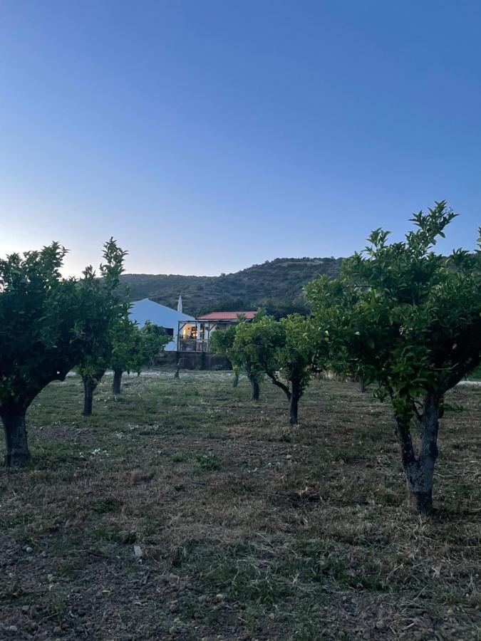 Quinta Da Boa Sorte Estoi Luaran gambar