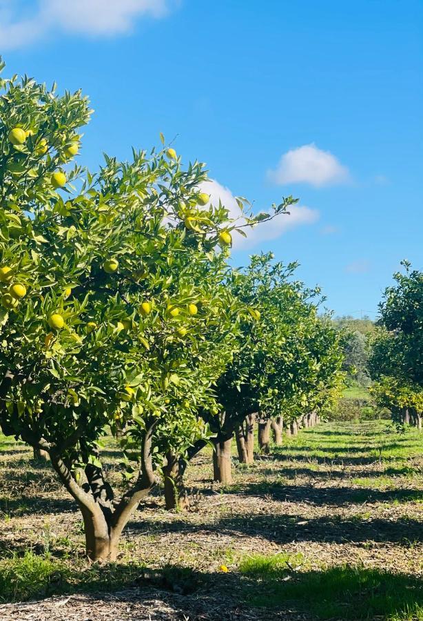Quinta Da Boa Sorte Estoi Luaran gambar